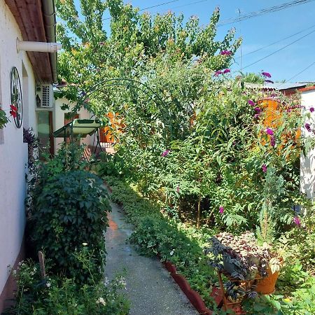 Casa Calin Villa Tulcea Eksteriør bilde