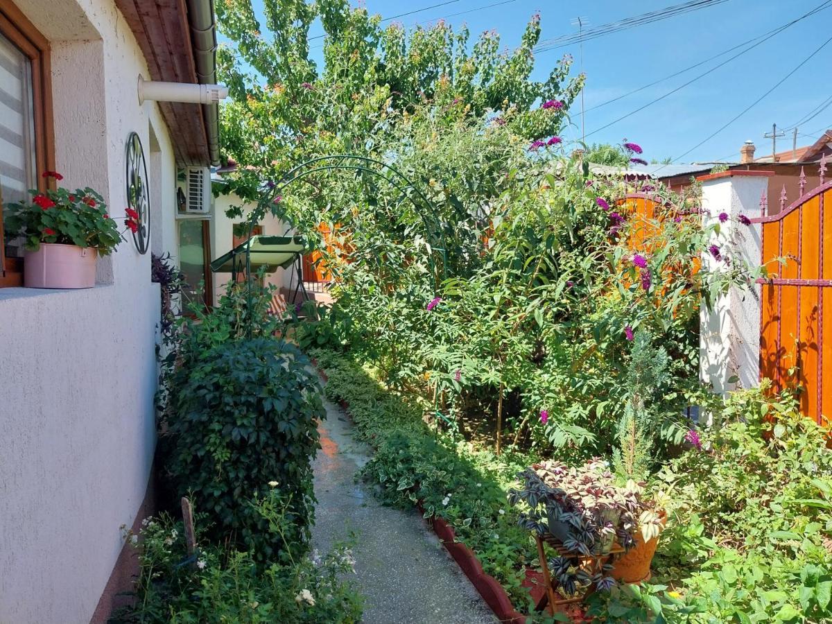 Casa Calin Villa Tulcea Eksteriør bilde